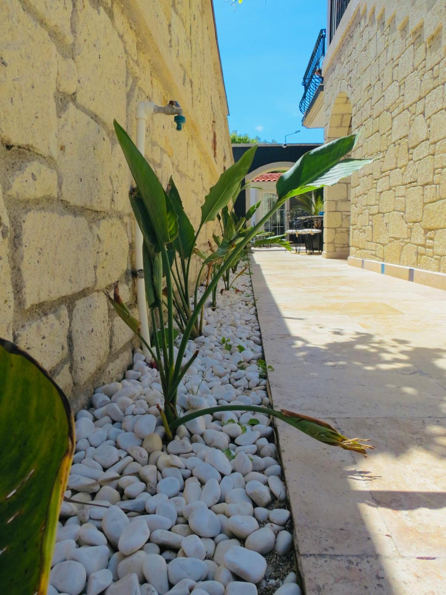 Fedora Otel Alaçatı Exterior foto
